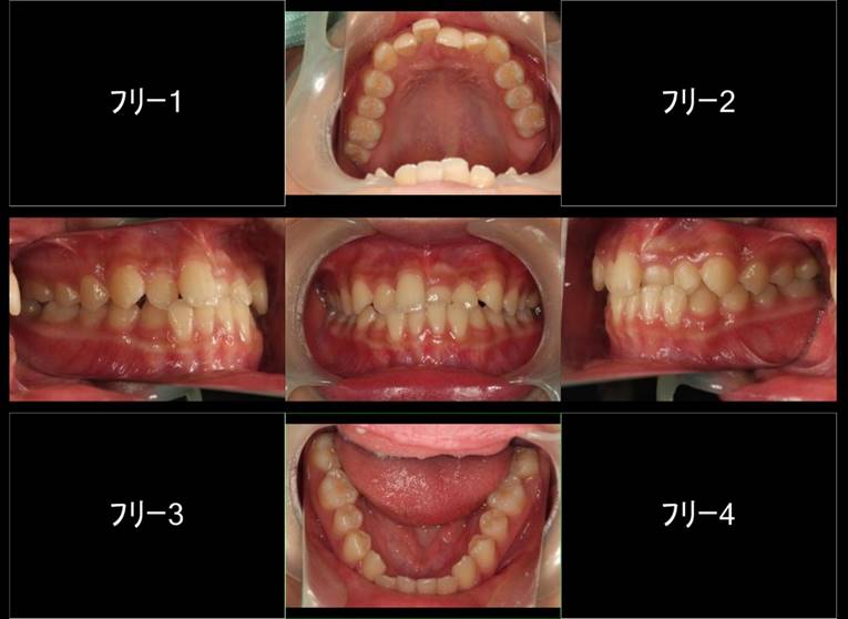 食べ物 が含まれている画像

自動的に生成された説明