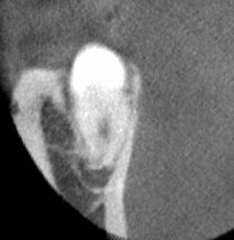 白黒の写真に写ってる男性の顔

AI によって生成されたコンテンツは間違っている可能性があります。